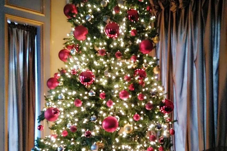Annual Christmas Tree