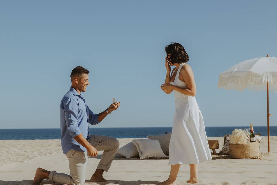 Proposal