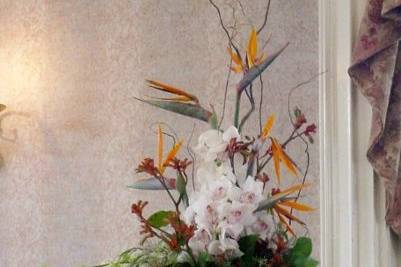 Domenic Graziano Flowers & Gifts