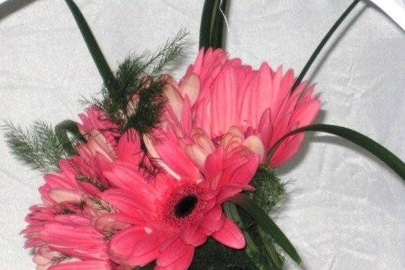 Domenic Graziano Flowers & Gifts