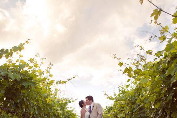 Lundy Photography
