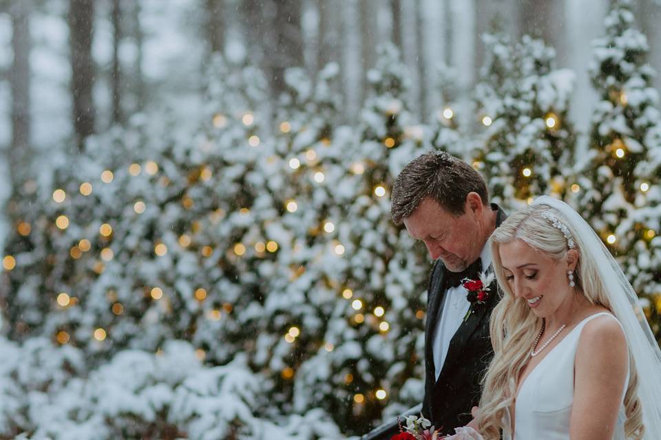 Winter Wonderland Wedding