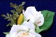 A creamy rose buttonhole boutonnierre is an elegant accessory for a fashionable groom.
