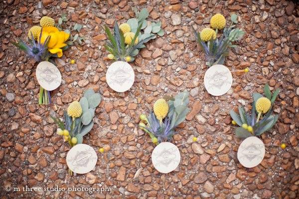 Yellow and blue boutonnieres with billy balls and thistle.
