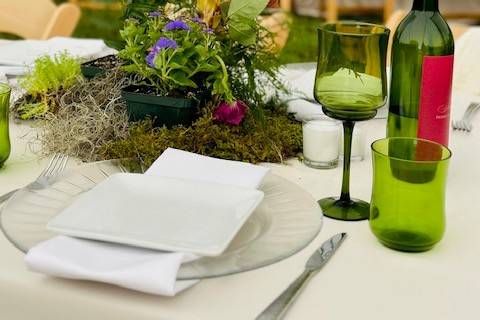 Outdoor celebration