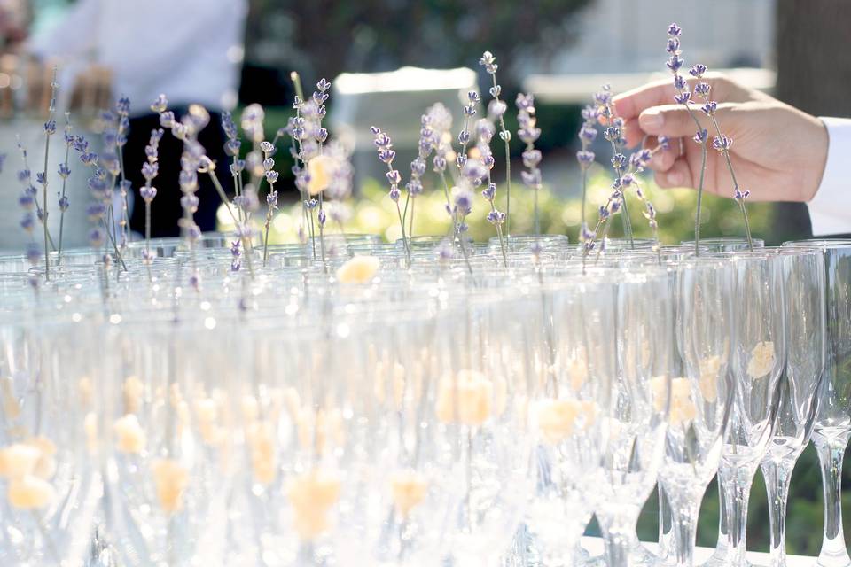 Champane Cocktail