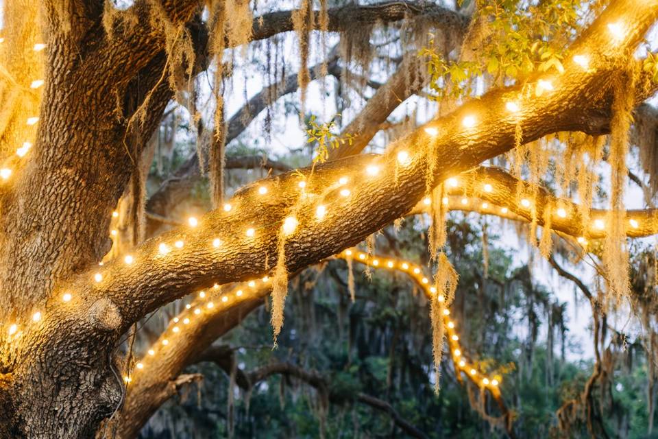 Artie  Genesis Plant City Wedding -687.jpg
