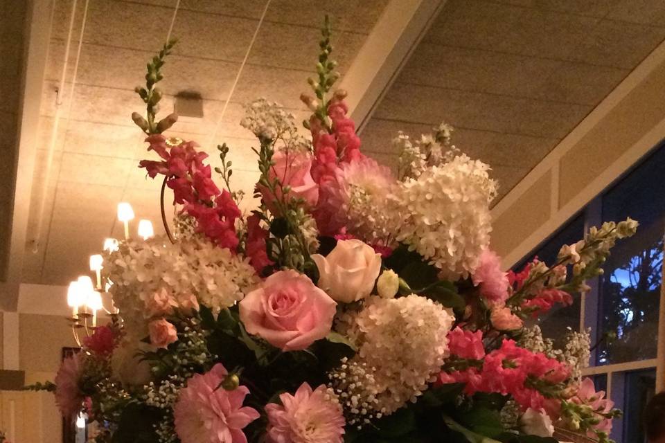 Beautiful Flowers