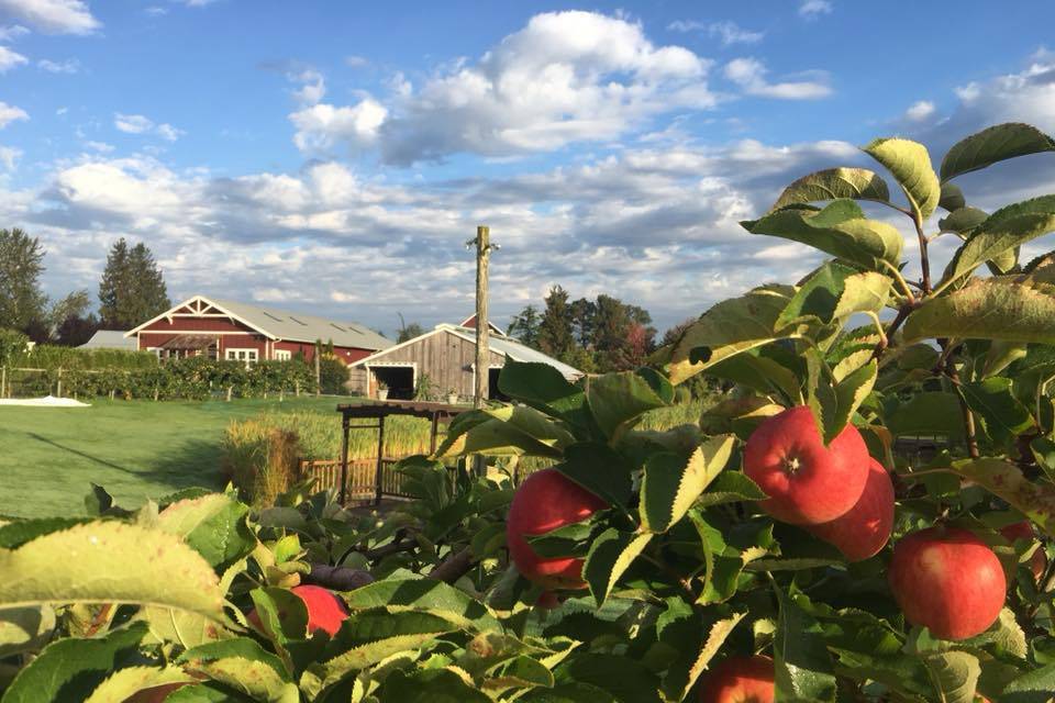 Swans Trail Farms