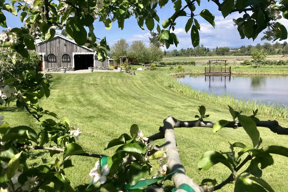 Swans Trail Farms