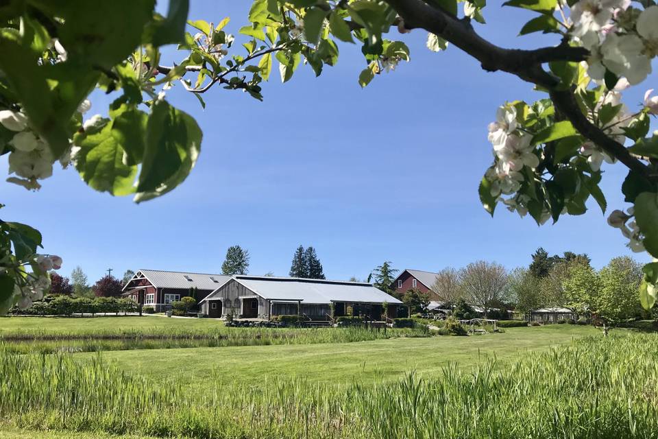 Swans Trail Farms