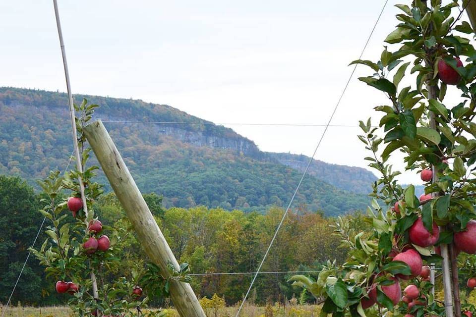 Indian Ladder Farms