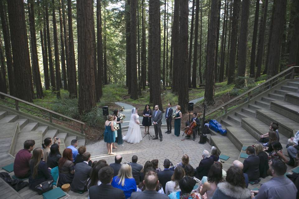 Wedding in the woods | Photo by Plumberry Photography