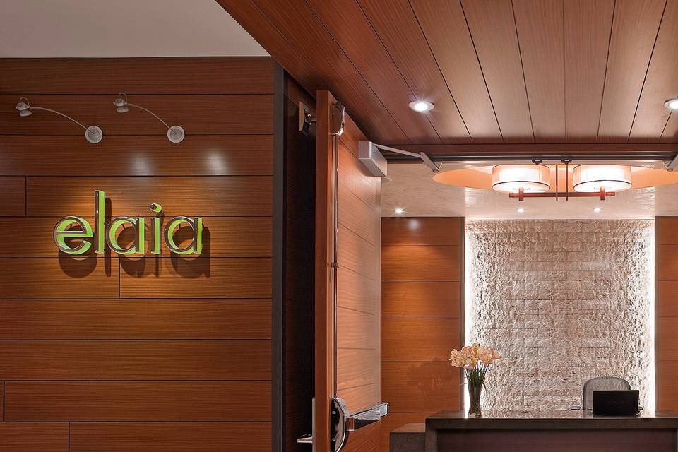 Elaia spa - Hyatt at Olive 8