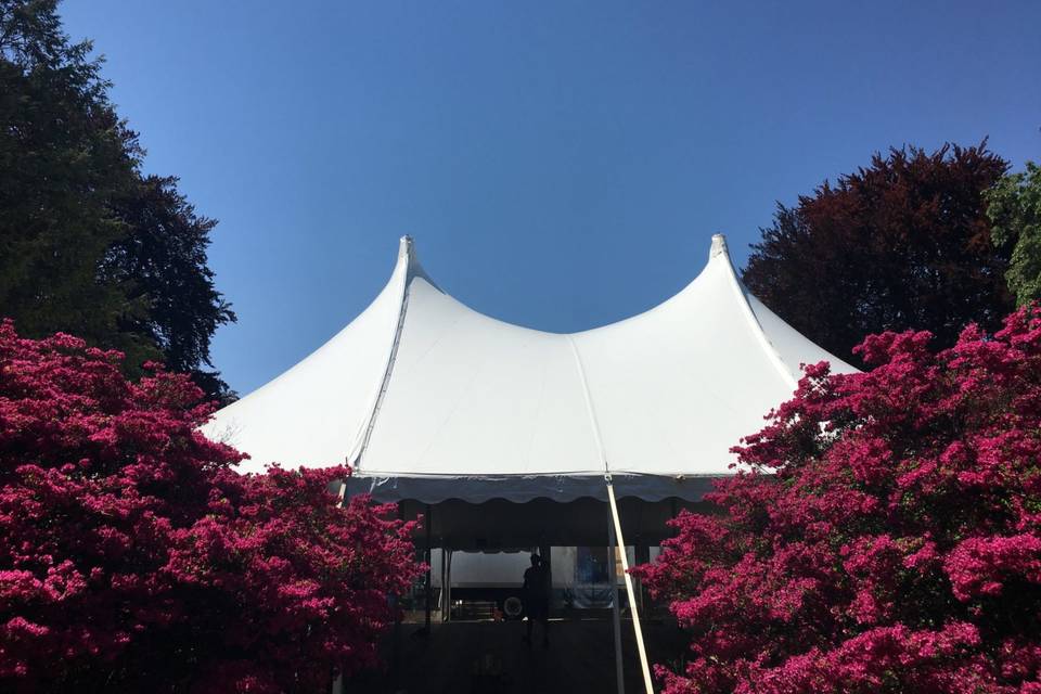 Pole Tent