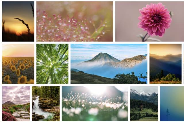 The Grid view in white