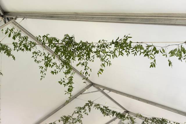 Greenery