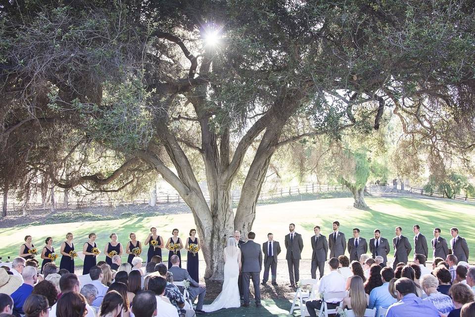 Summer California Wedding