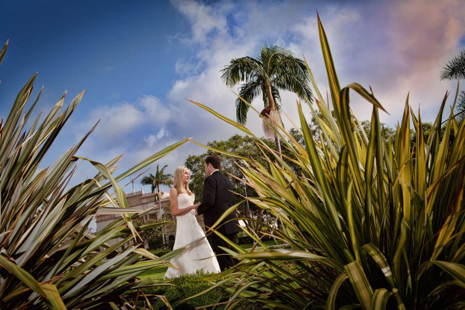 immaculata usd wedding