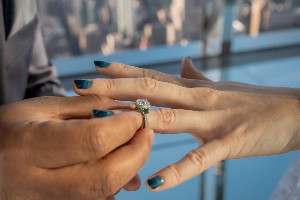 Proposal at Summit NY