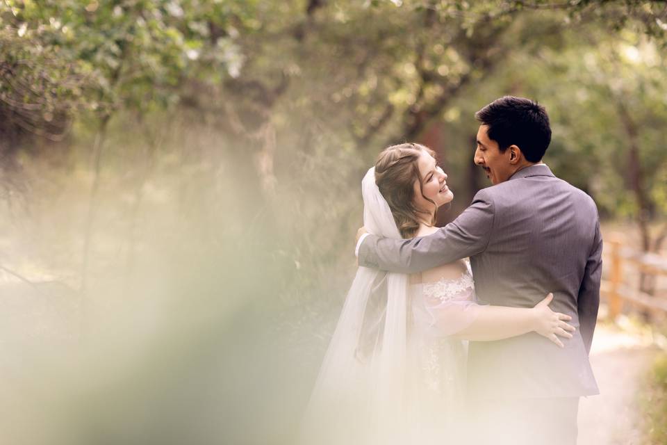 Wedding Portraits