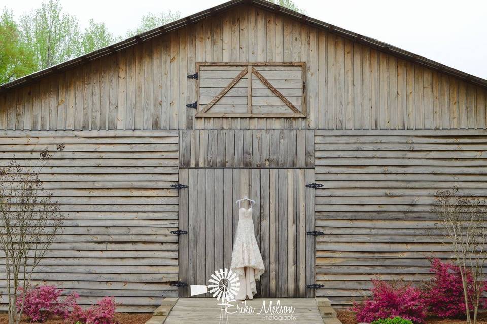 Bridal portrait