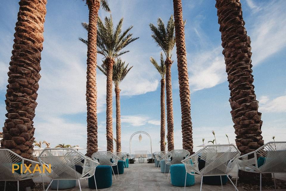 Wedding with a Palm Aisle