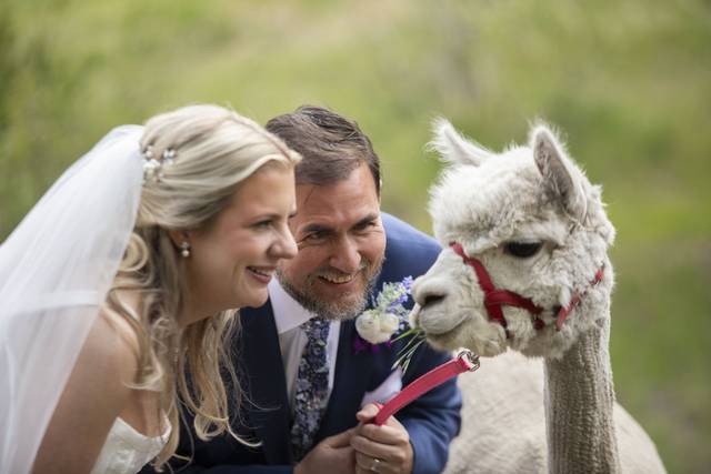 Colorado Springs Photographer