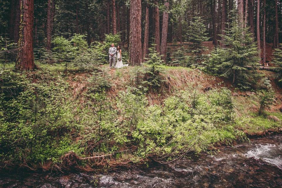 Mountain forest wedding