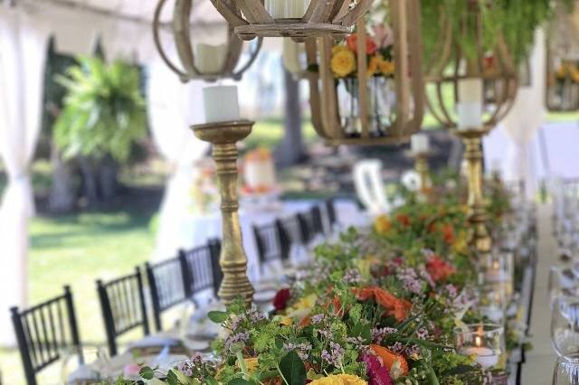 Bridal Shower