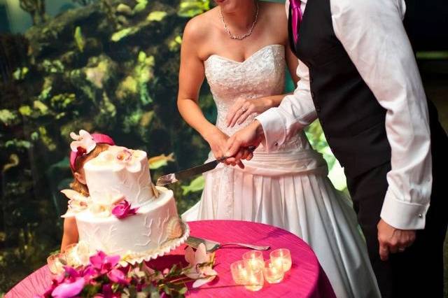 Cake cutting