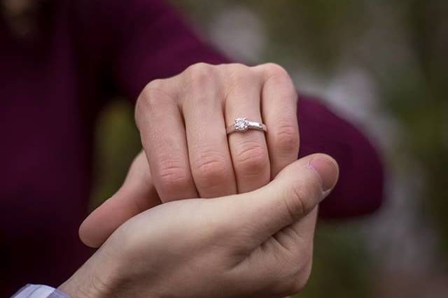 L Christine Photography