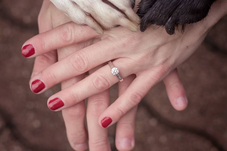L Christine Photography