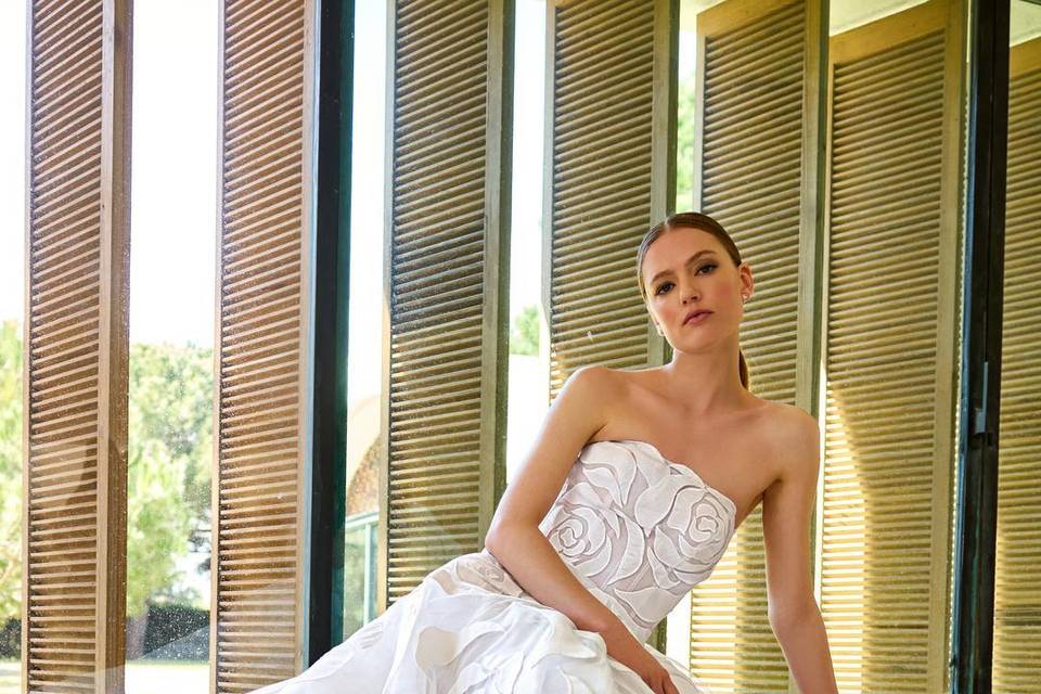 Wedding gown by Pronovias