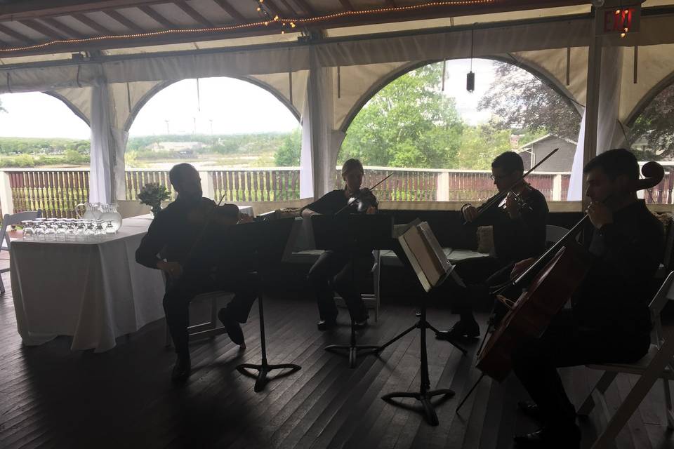 Quartet at the venue