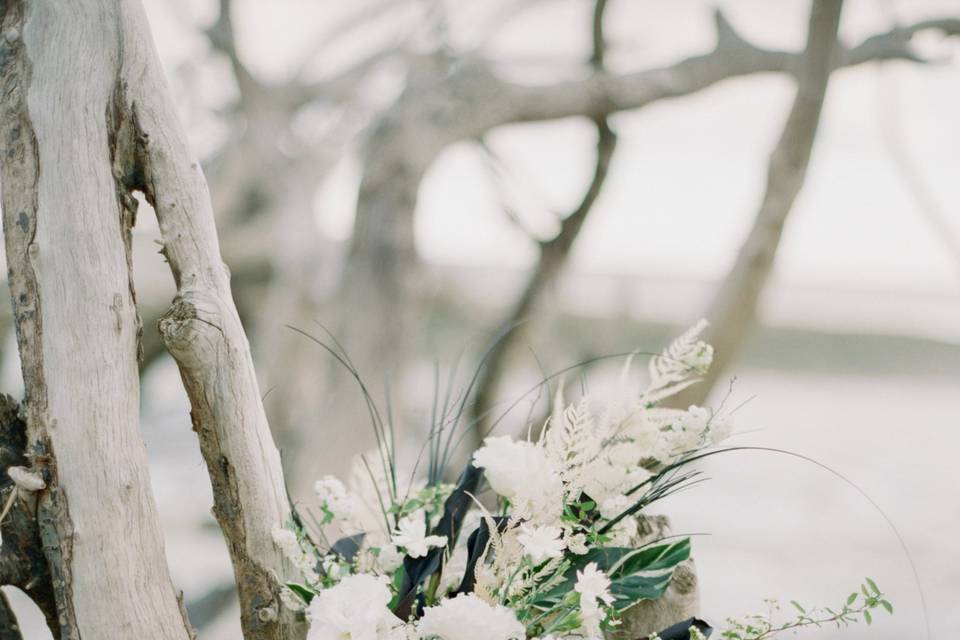 Charleston Elopement