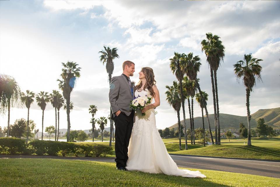 Mountains and palms