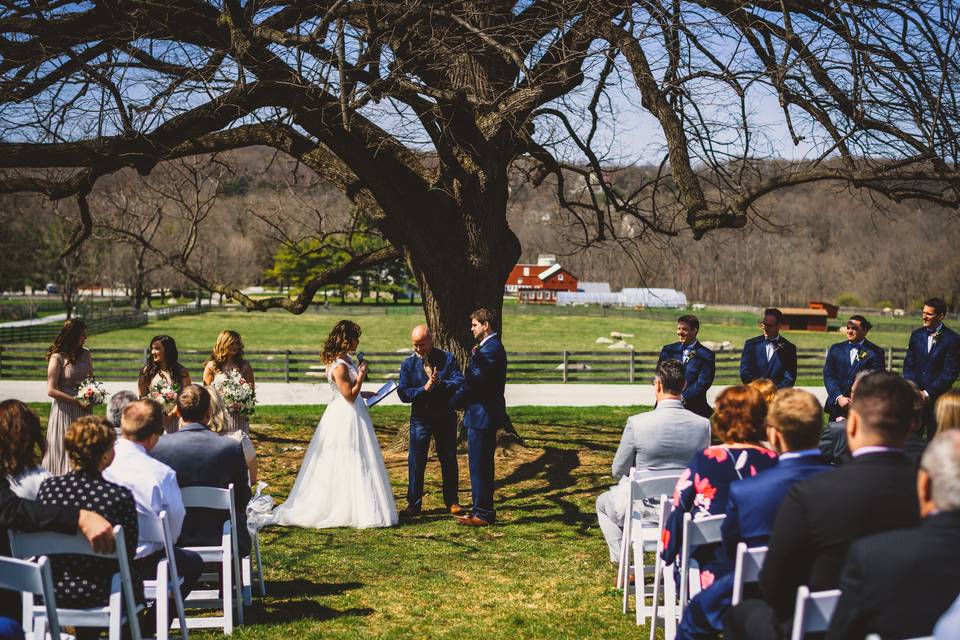 Outdoor wedding ceremony