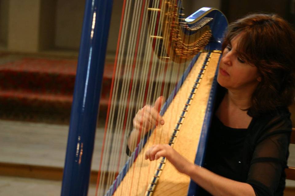 A Harpist in Paris