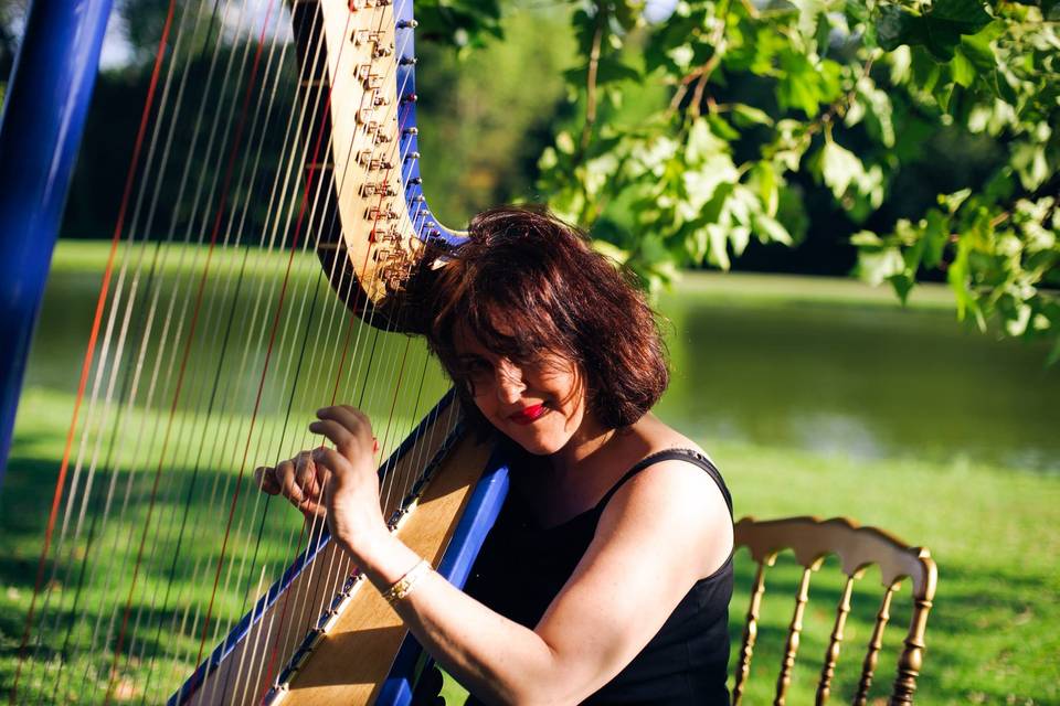 A Harpist in Paris