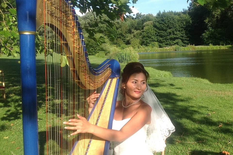 A Harpist in Paris