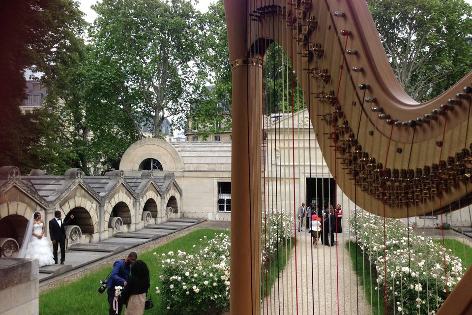 A Harpist in Paris