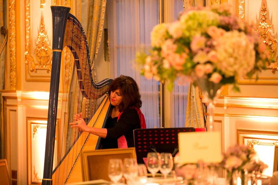 A Harpist in Paris