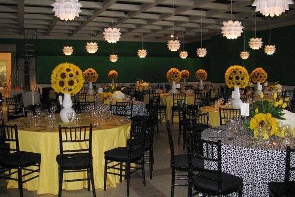 Beachview Event Rentals & Design