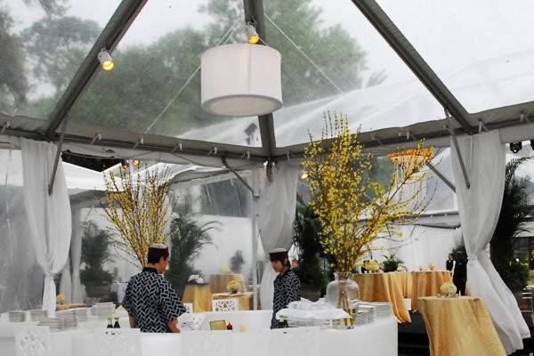 Clear tent ceiling, Lights by Get Lit, Tent by Beachview Rentals