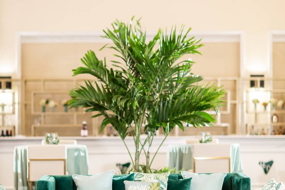 Beachview Event Rentals & Design