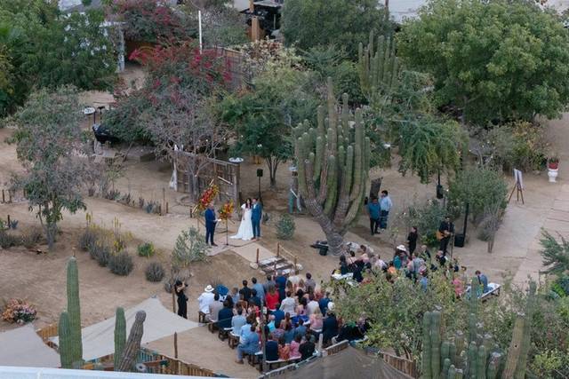 Outdoor Wedding