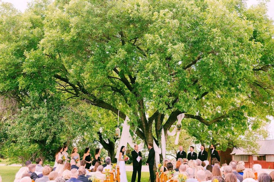 Wedding ceremony