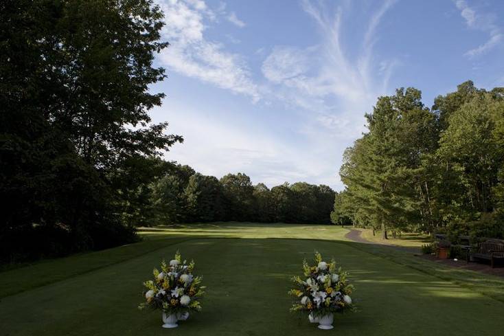 Decorated golf greens