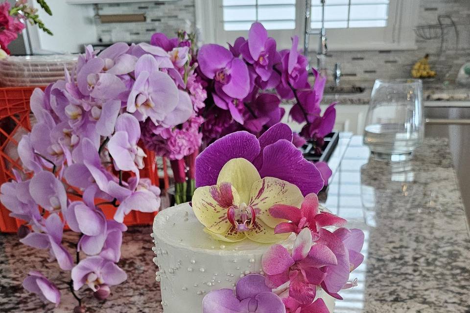 Panama City Cakes